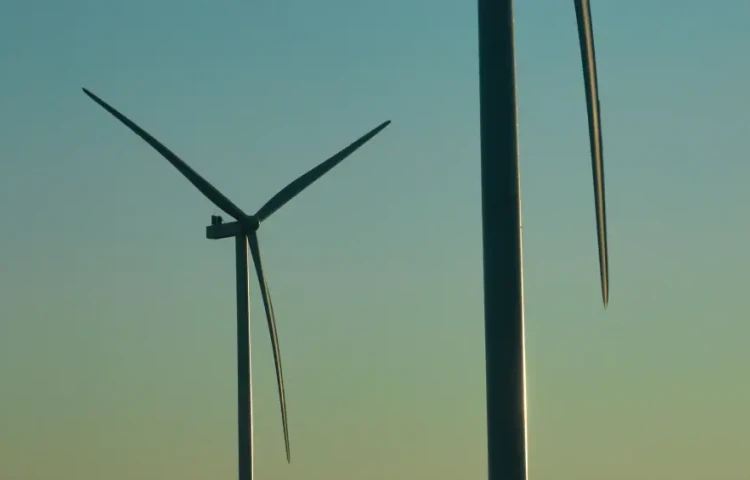 Ljubovo Wind Farm